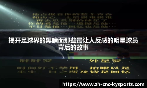 开云kaiyun网页版